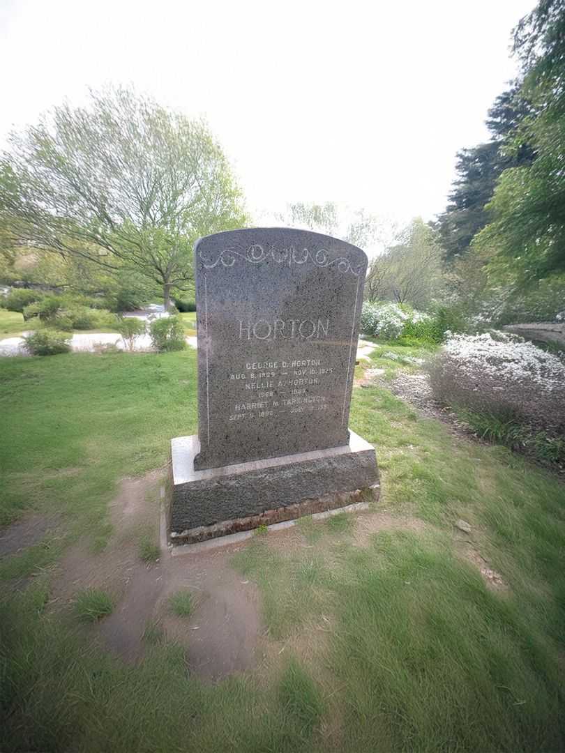 Nellie A. Horton's grave. Photo 1