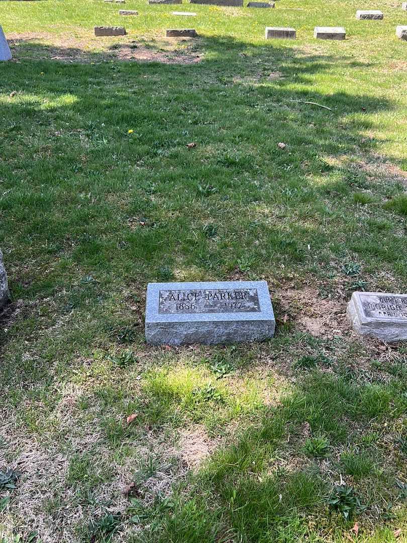 Alice H. Parker's grave. Photo 1
