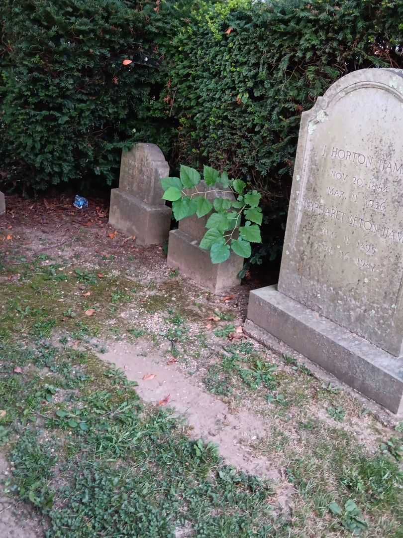Althea Pardee Luke's grave. Photo 1