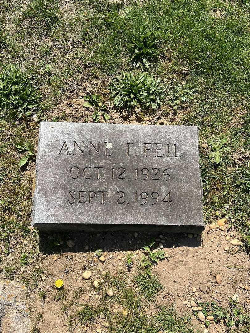 Anne T. Feil's grave. Photo 3