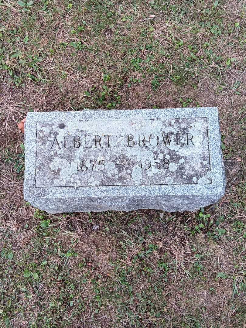 Albert Brower's grave. Photo 3