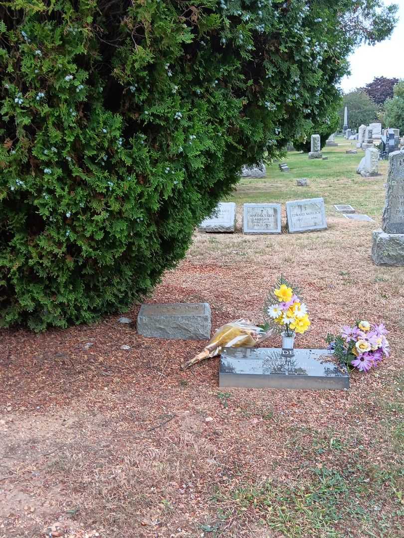 John W. Faber's grave. Photo 1