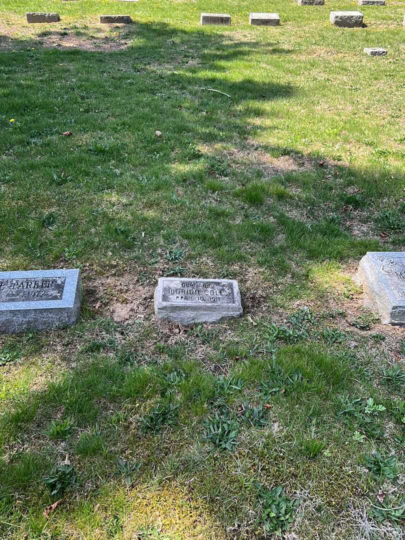 Marion Coles's grave. Photo 1