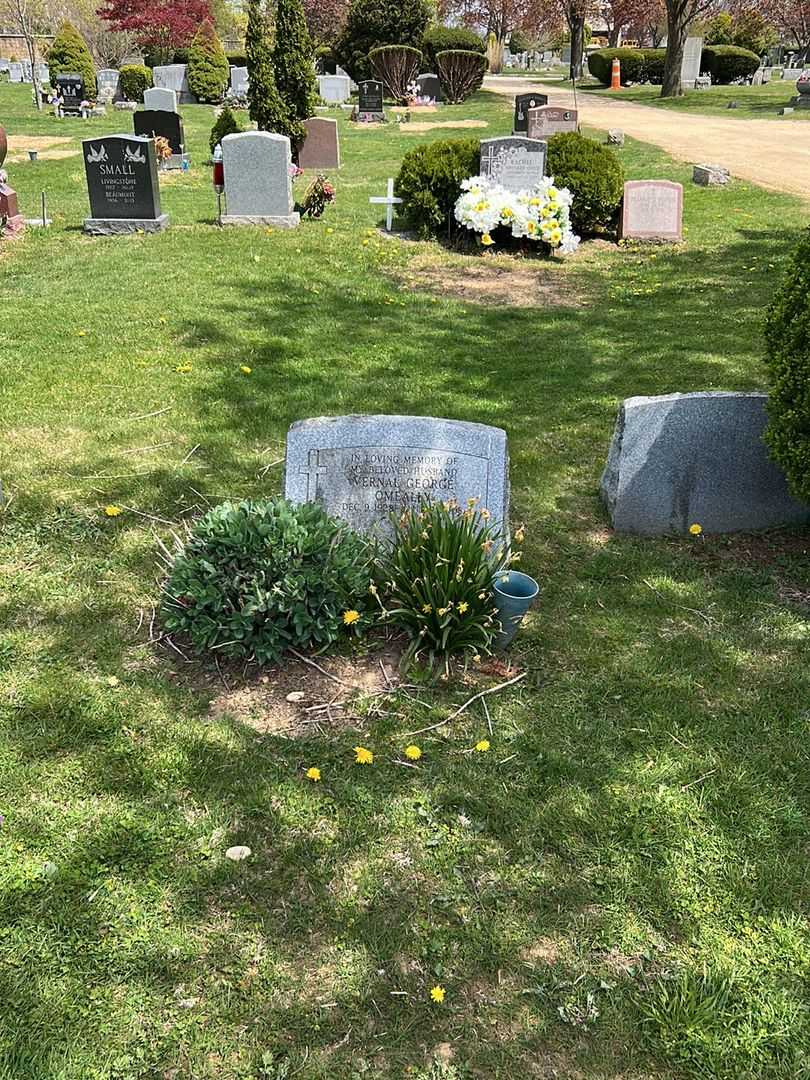 Vernal George O'Meally's grave. Photo 1