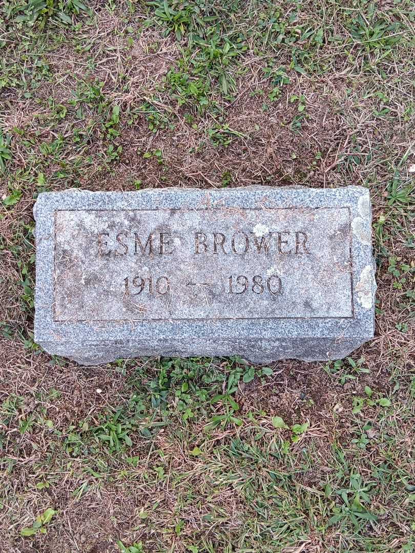 Esme T. Brower's grave. Photo 3