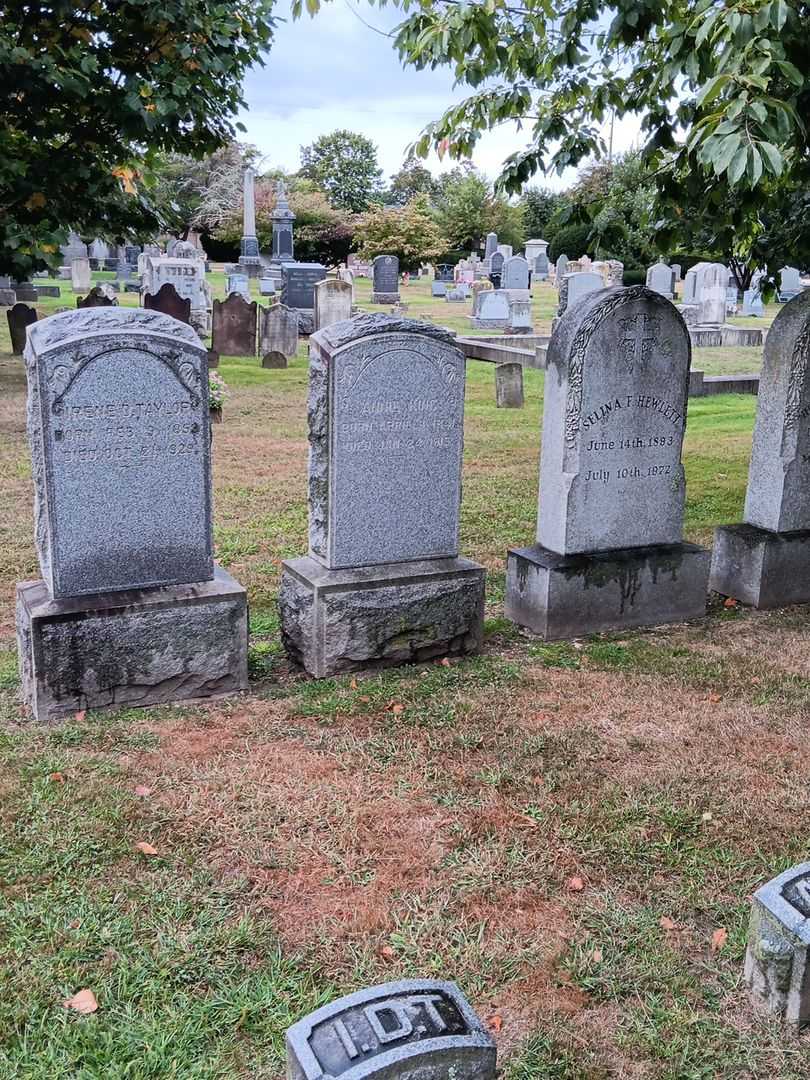 Annie King's grave. Photo 1