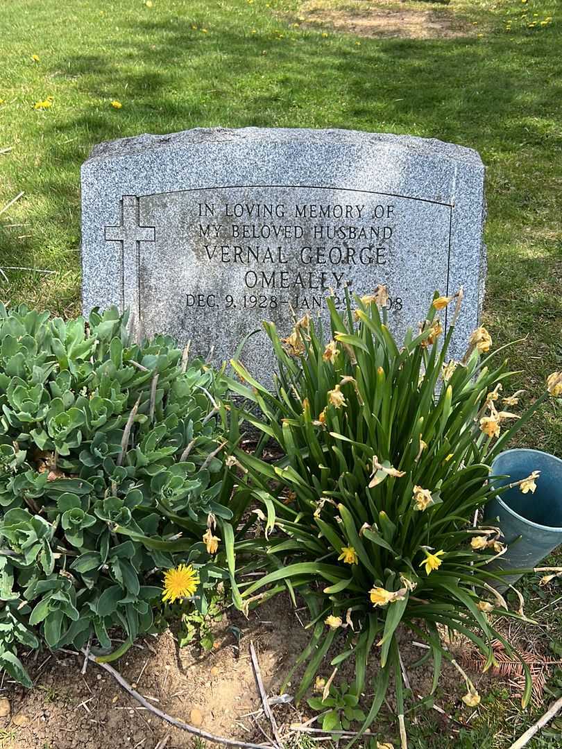 Vernal George O'Meally's grave. Photo 2