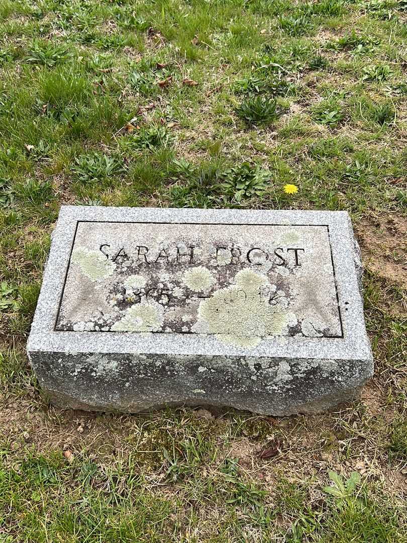Sarah Frost's grave. Photo 3