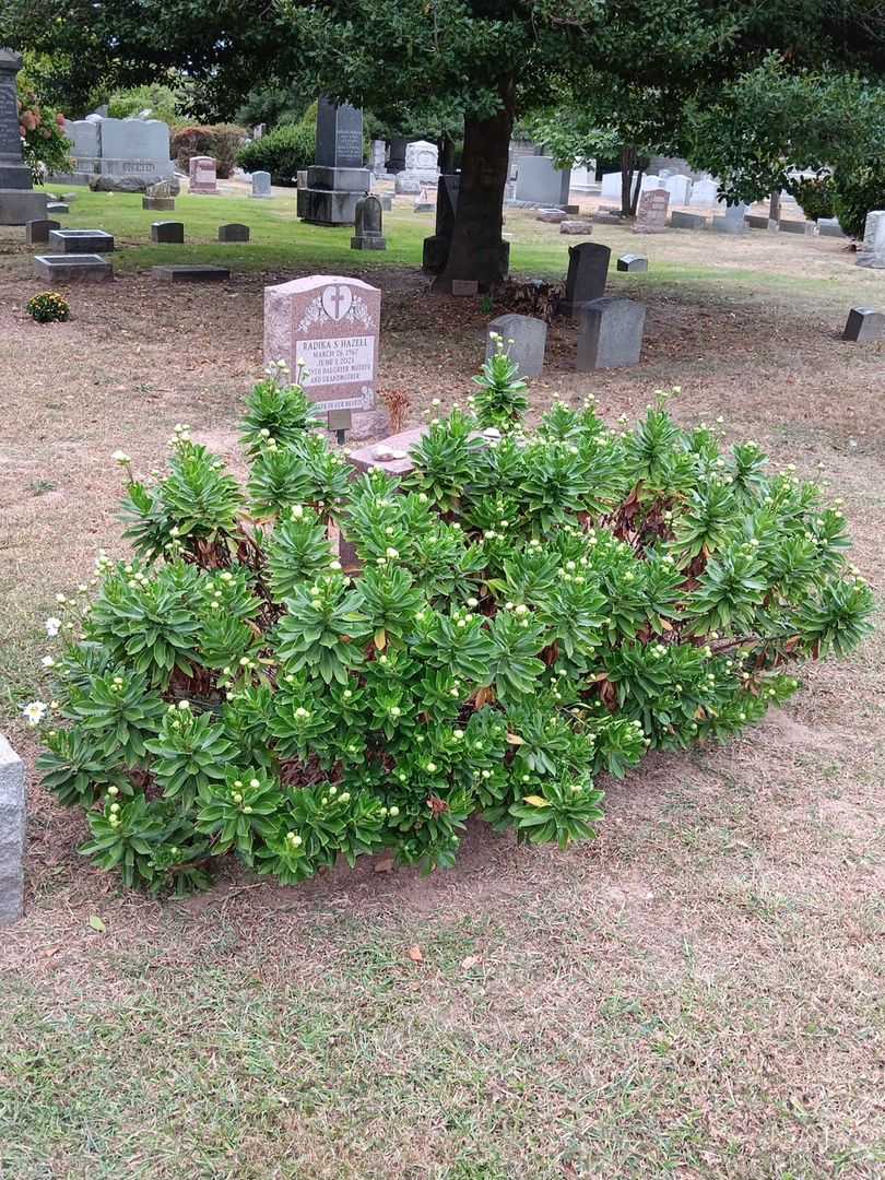 Fausto R. Uceta's grave. Photo 1