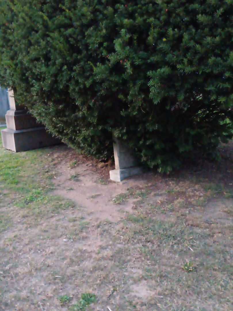 George Abrams's grave. Photo 1