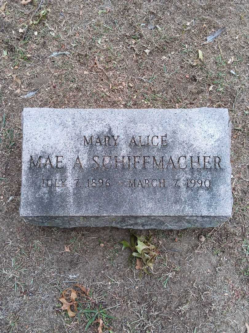 Mary Allice "Mae" Schiffmacher's grave. Photo 3