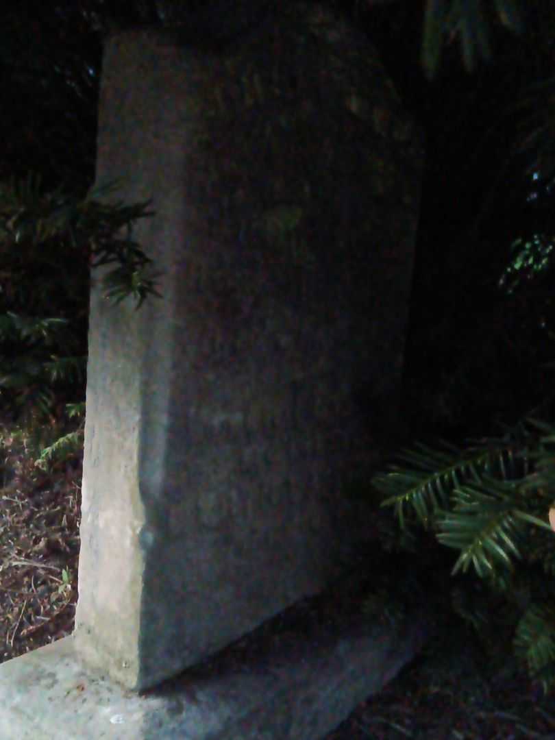 George Abrams's grave. Photo 2