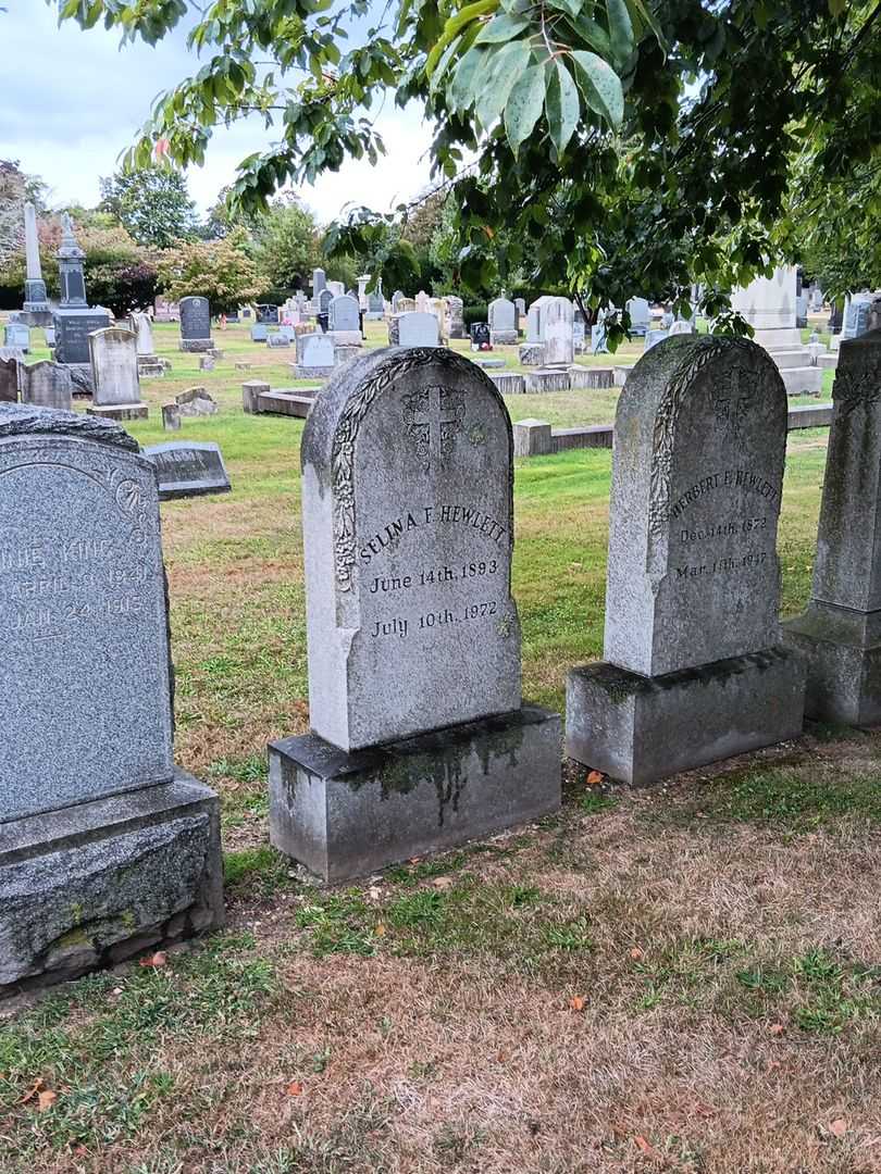 Selina F. Hewlett's grave. Photo 1