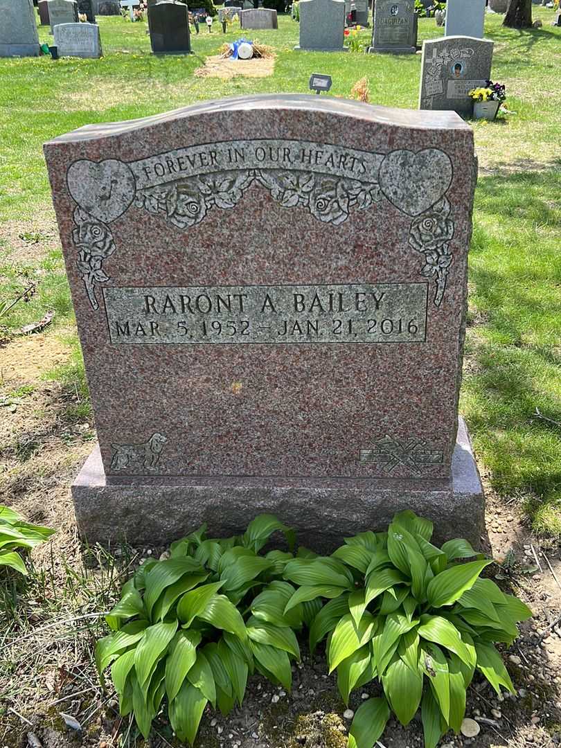 Raront A. Bailey's grave. Photo 2