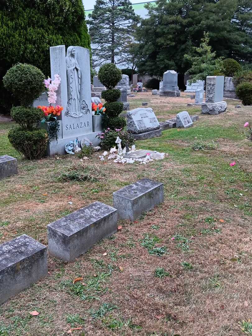 Hannah Finucane Dalton's grave. Photo 1