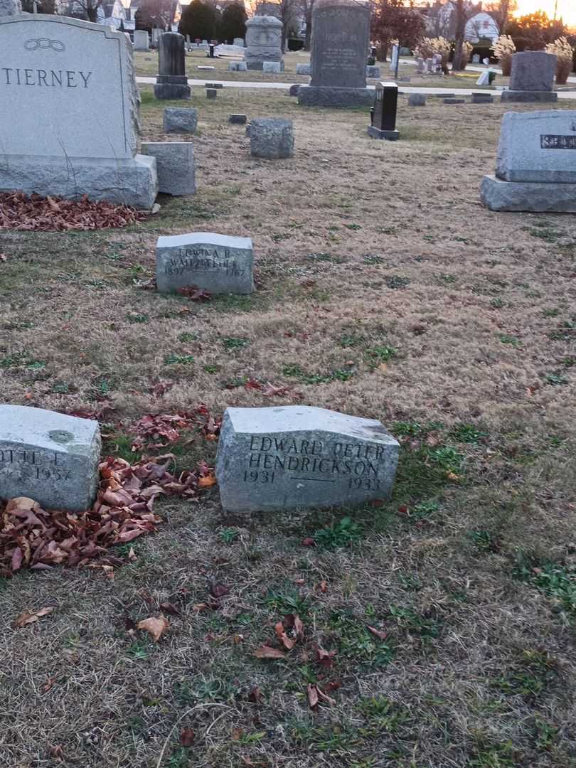 Edward Peter Hendrickson's grave. Photo 2