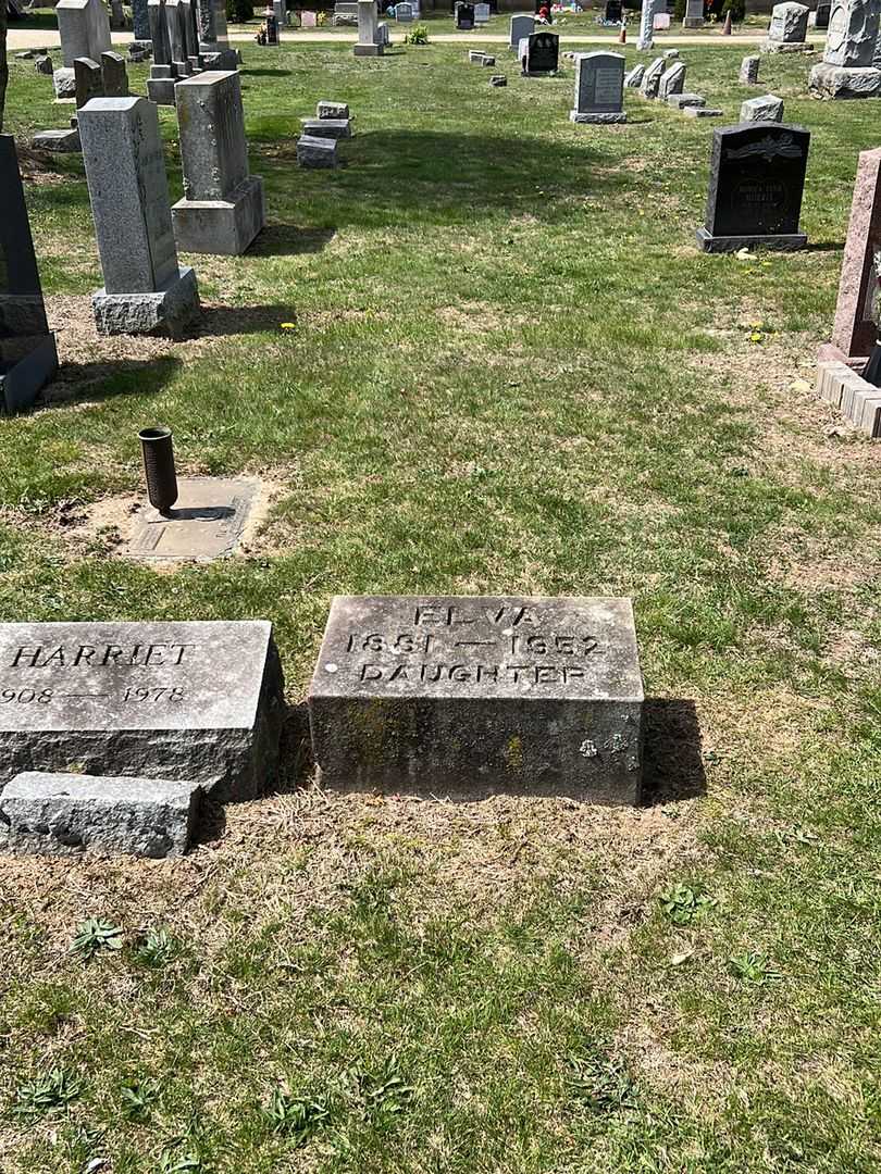 Elva Nagle's grave. Photo 2