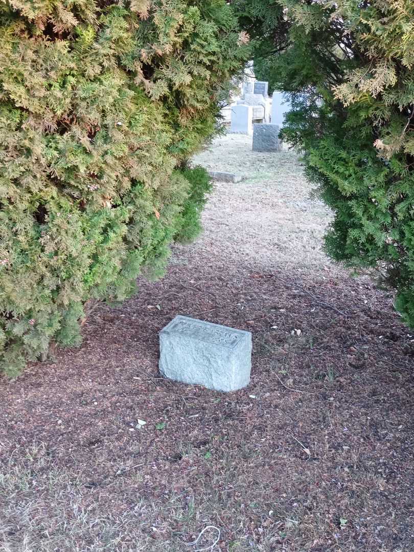 Oliver B. Abrams's grave. Photo 1