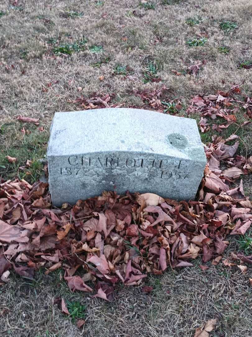 Charlotte E. Tierney's grave. Photo 2