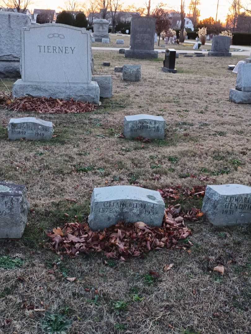 Charlotte E. Tierney's grave. Photo 3