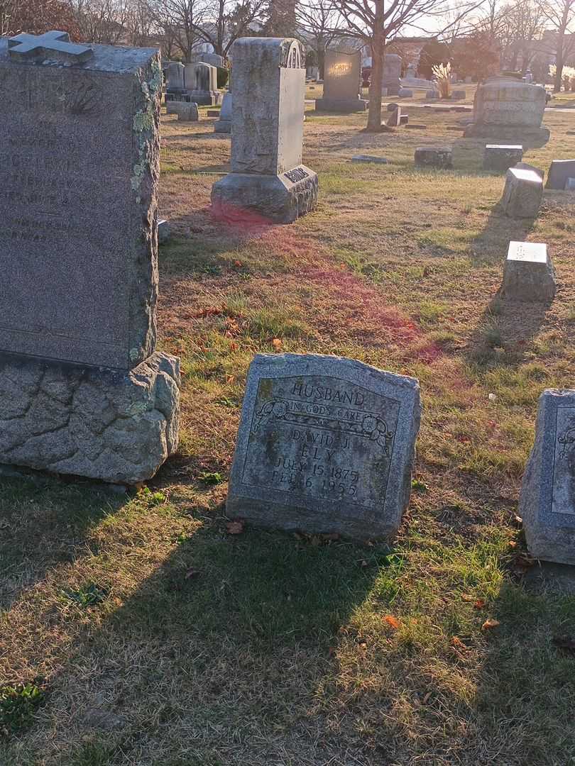 David J. Ely's grave. Photo 3