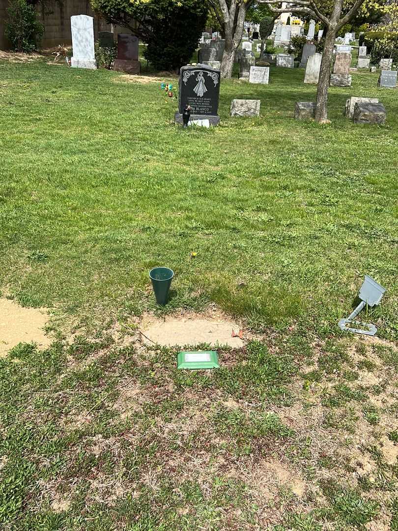 Jimmy Tate's grave. Photo 1