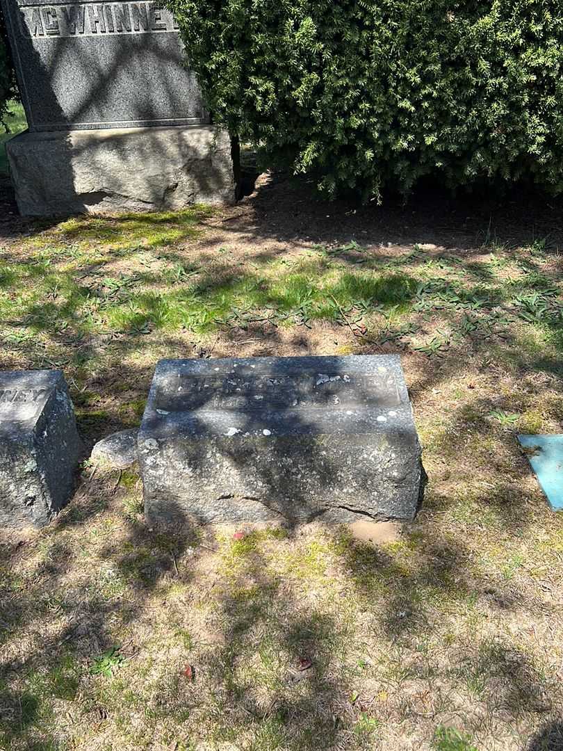 Lidie W. R. McWhinney's grave. Photo 2