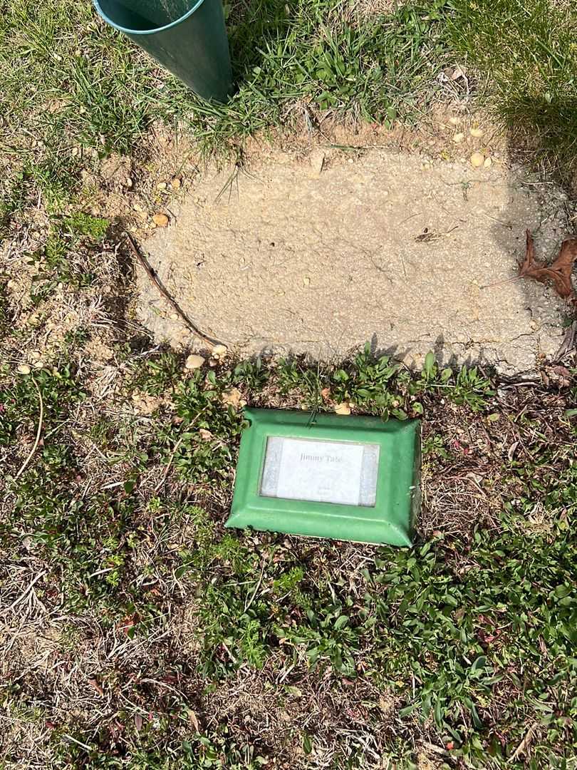 Jimmy Tate's grave. Photo 2