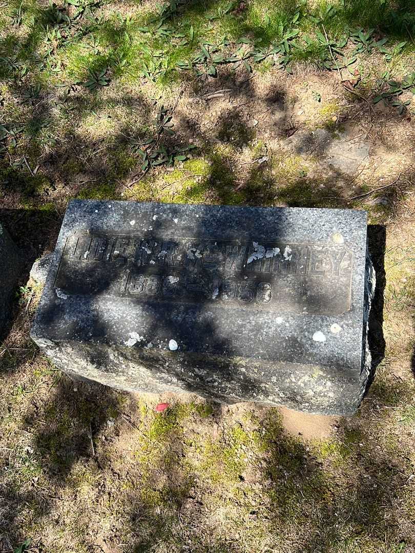Lidie W. R. McWhinney's grave. Photo 3