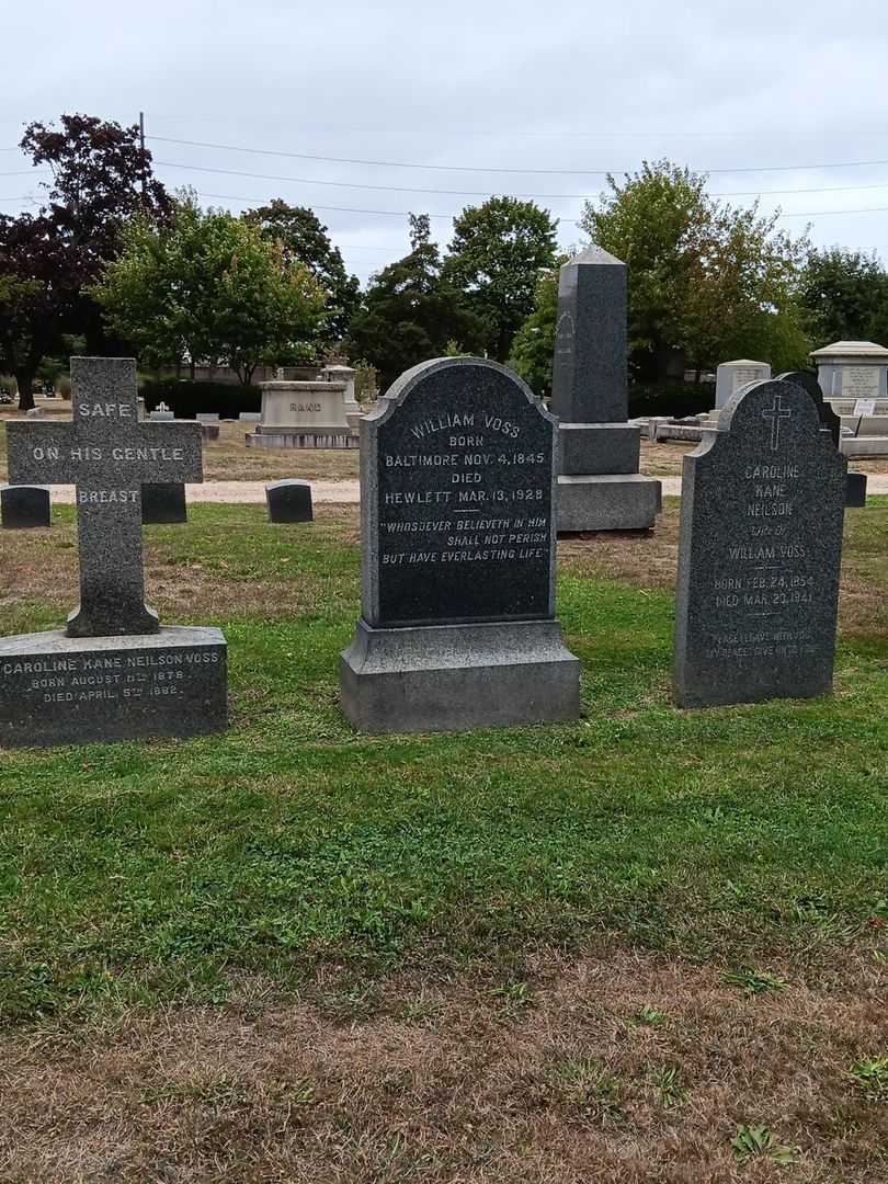 William Voss's grave. Photo 1