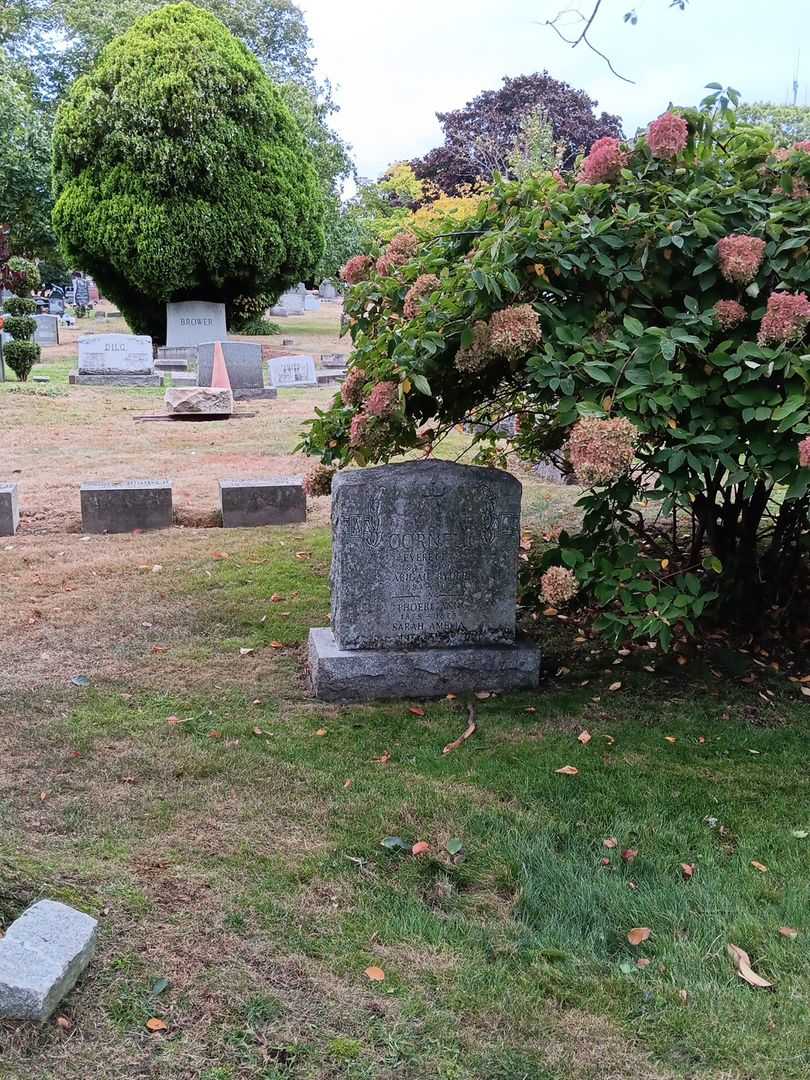 Sarah Amelia Cornell's grave. Photo 1