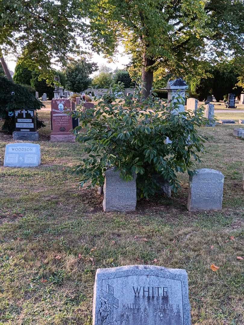 Margaret A. Jackson's grave. Photo 1