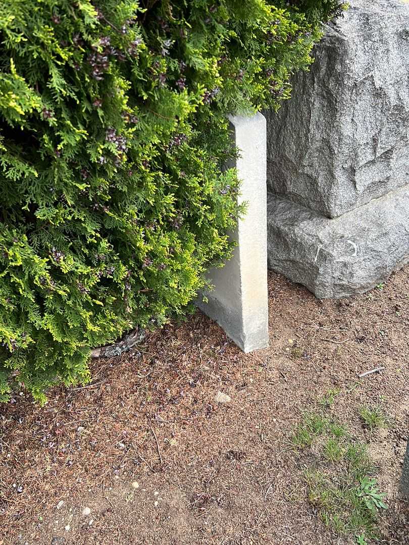 Harry V. Carroll's grave. Photo 1