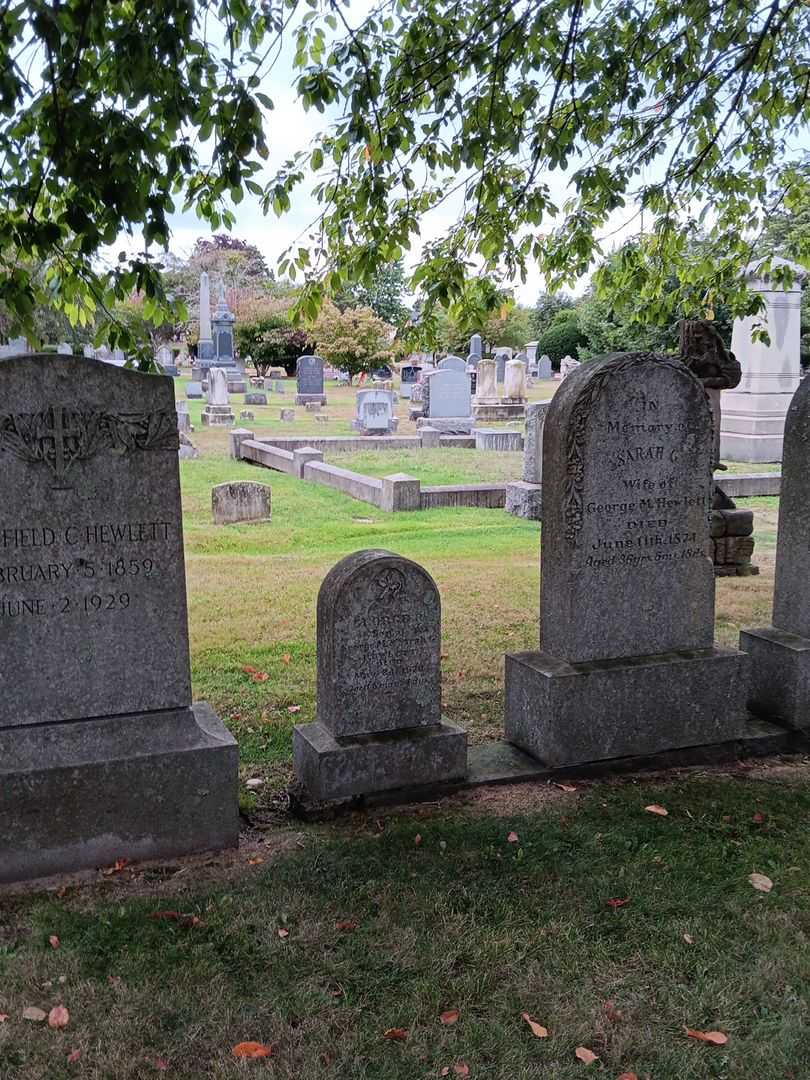 George R. Hewlett's grave. Photo 1