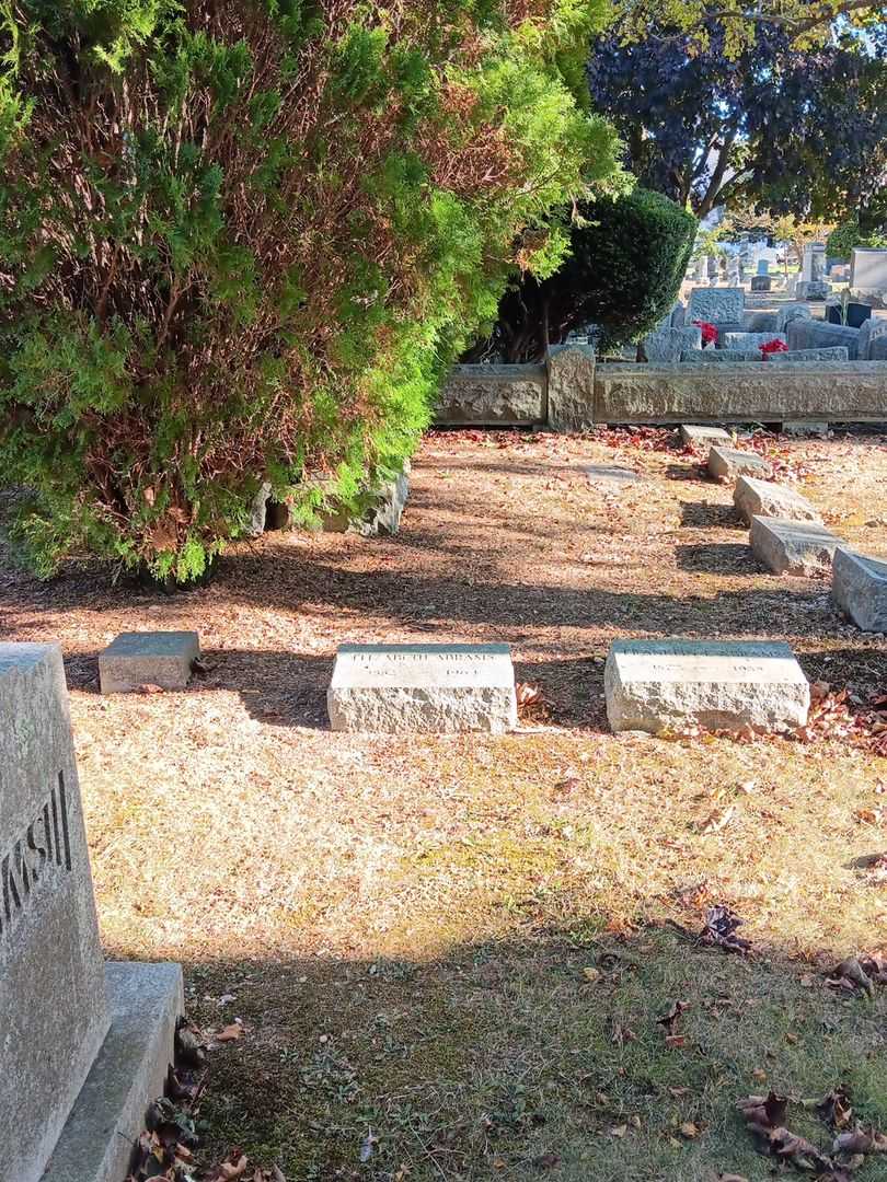 Sarah Elizabeth Abrams's grave. Photo 2