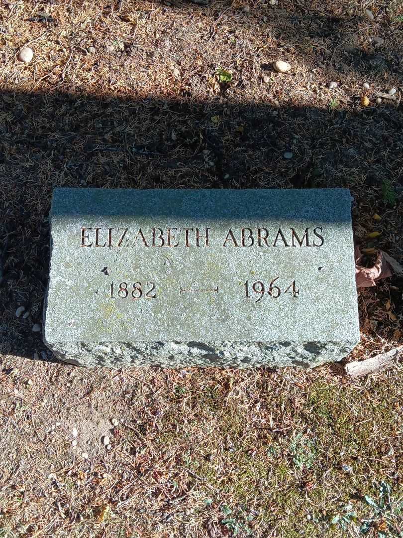 Sarah Elizabeth Abrams's grave. Photo 3